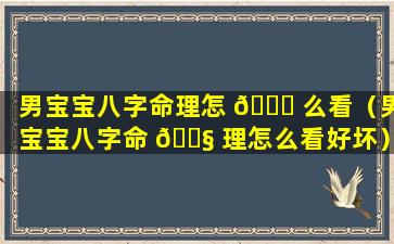 男宝宝八字命理怎 🐅 么看（男宝宝八字命 🐧 理怎么看好坏）